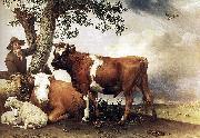 The bull. paulus potter